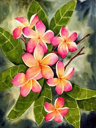 Image of Blush in Bloom